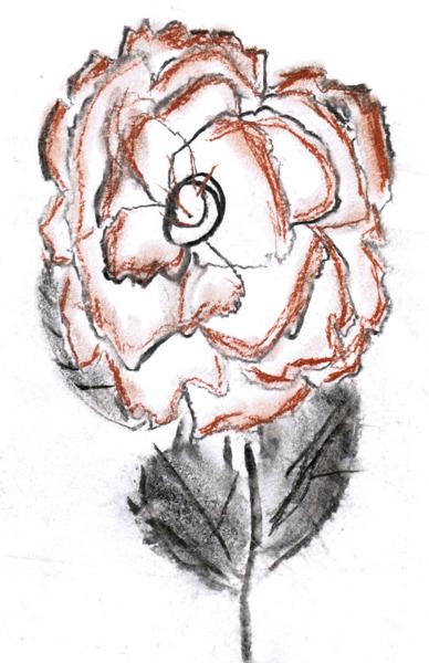 Rose (Crayons)